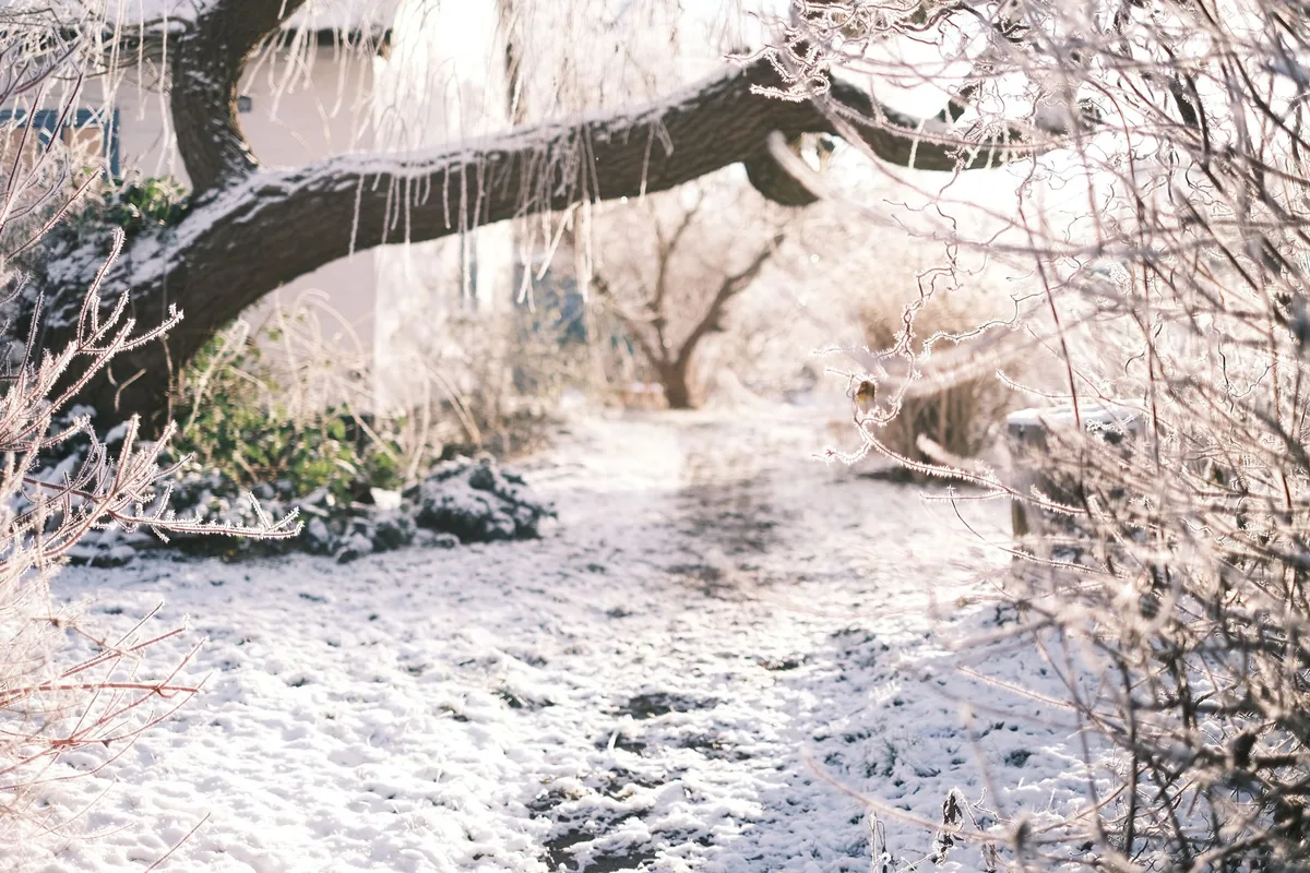 can garden hoses be left outside in winter