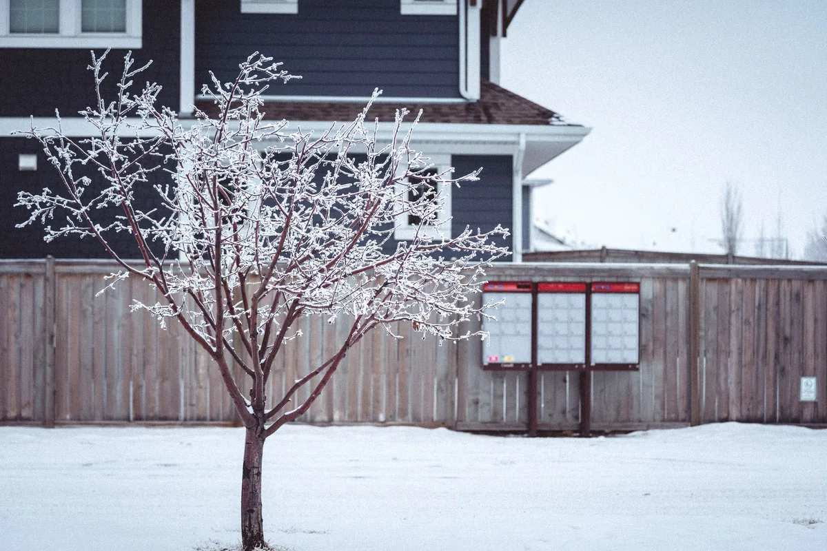 frost-free hydrant