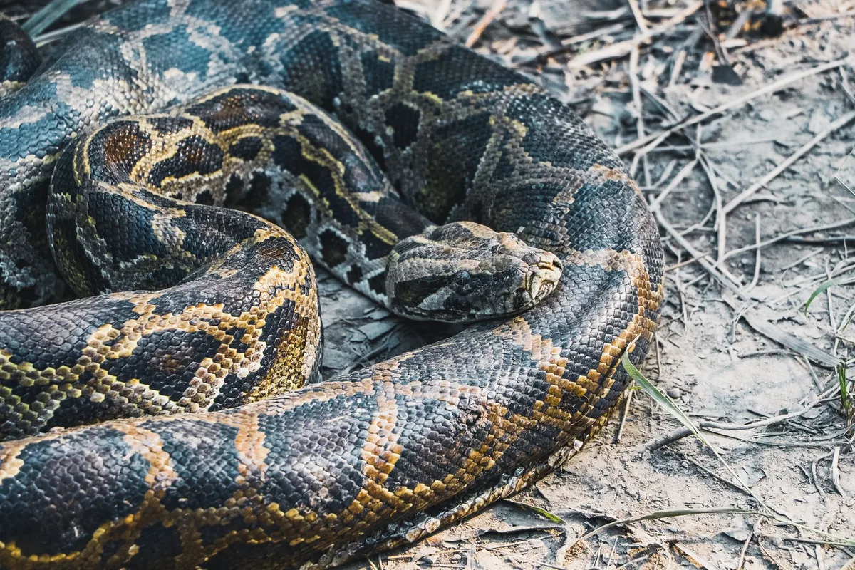Python No Spill Clean and Fill
