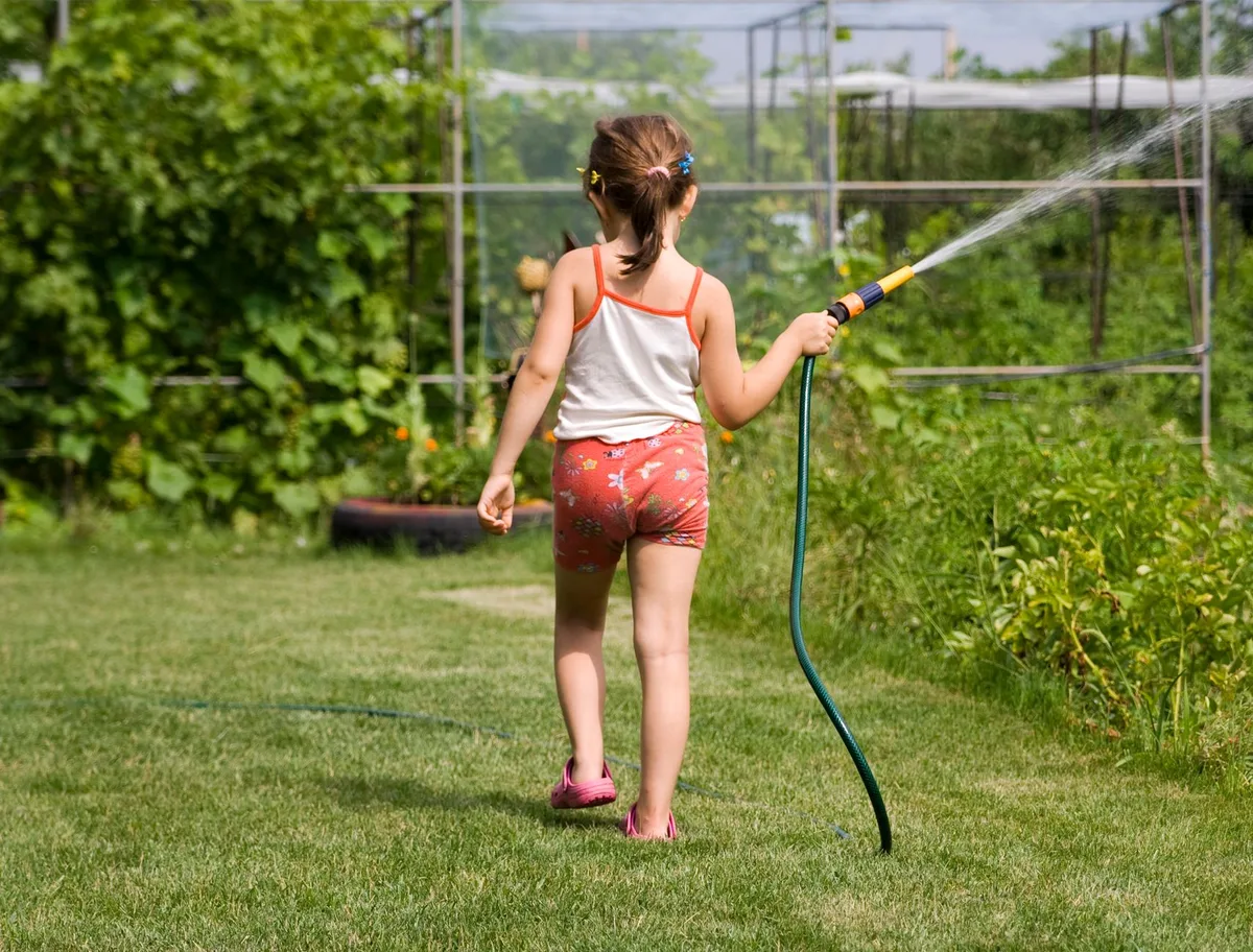 soaker hose in vegetable bed
