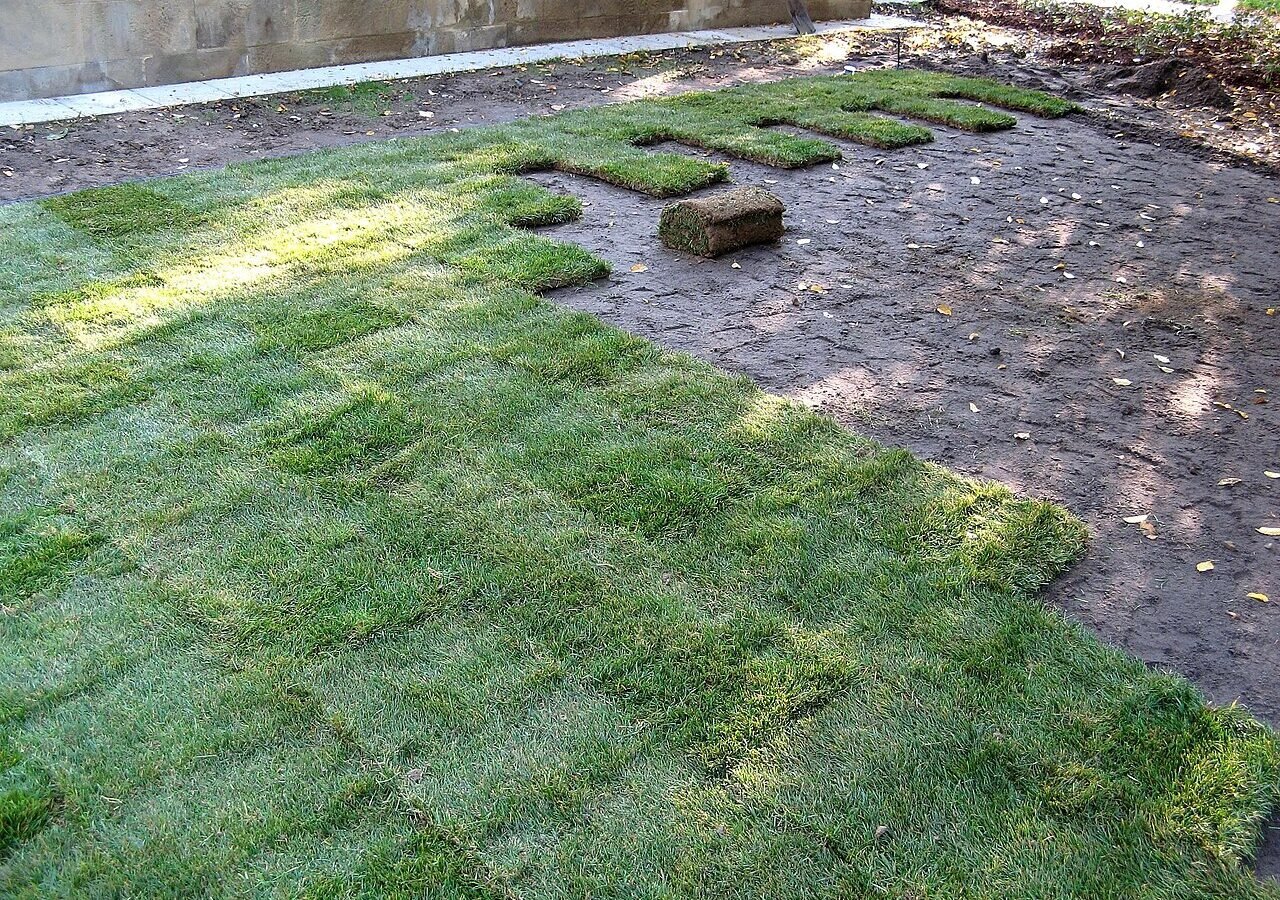 15+ Turf Grass Backyard Makeover Ideas