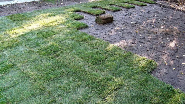 15+ Brilliant Turf Grass Backyard Makeover Ideas