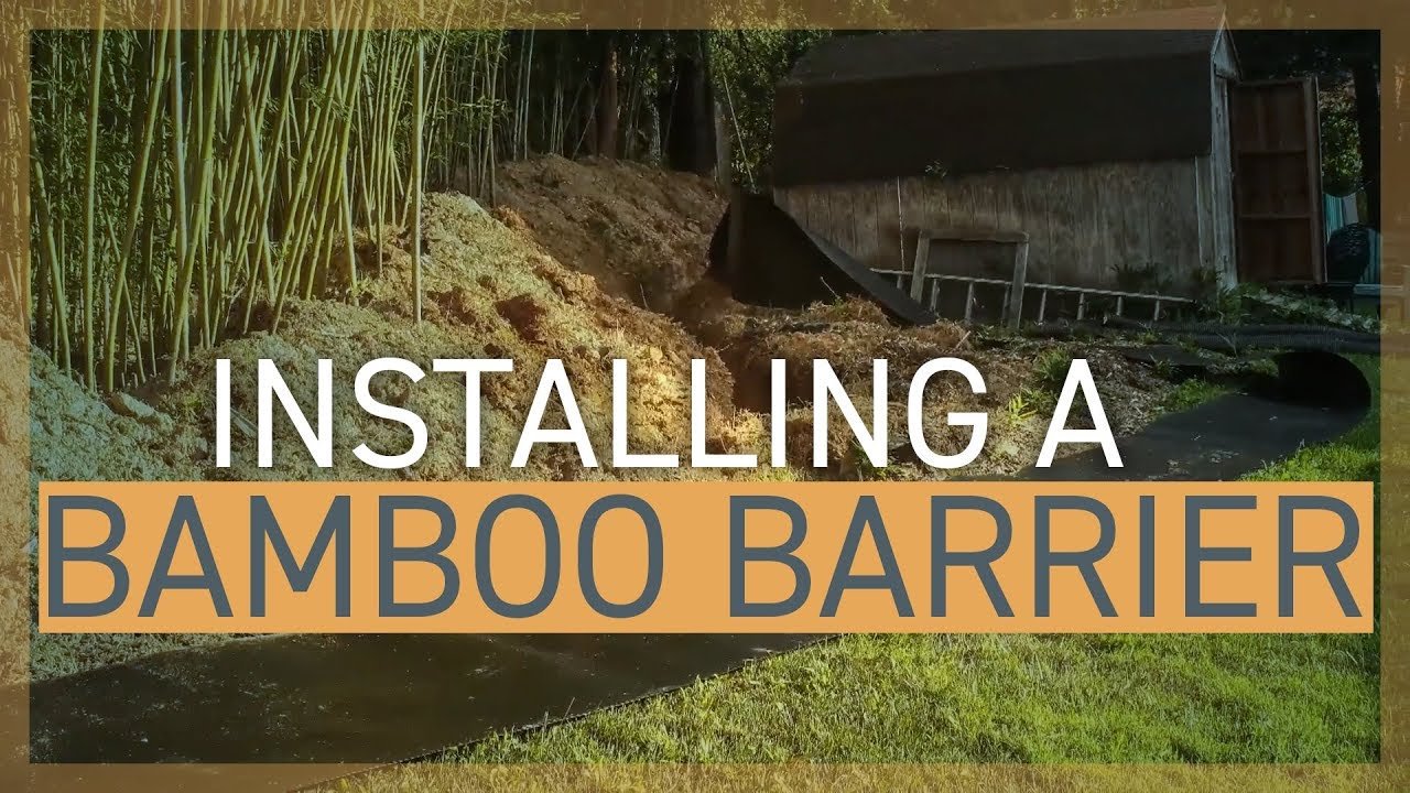Bamboo containment