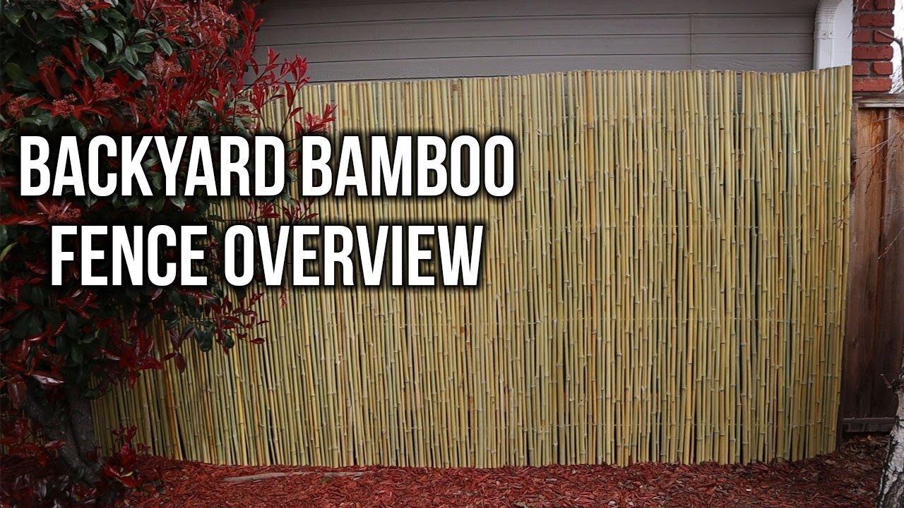 Bamboo Fencing