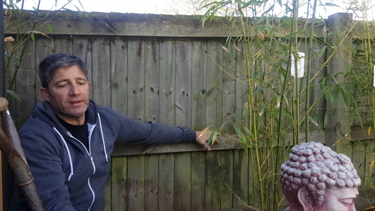 bamboo root barrier installation