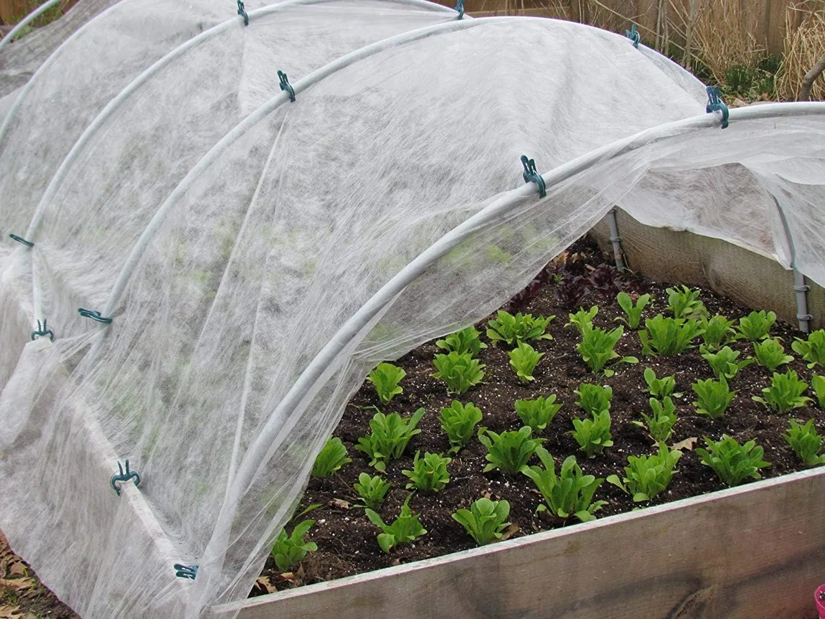 floating row cover on pepper plants