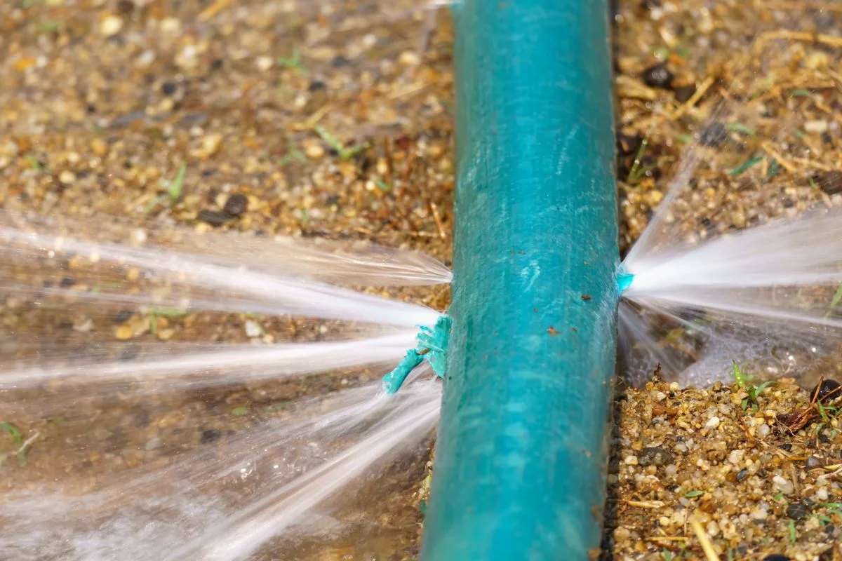 garden hose damage types