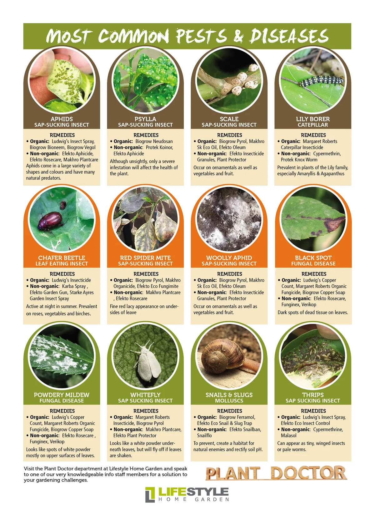 garden pest identification chart
