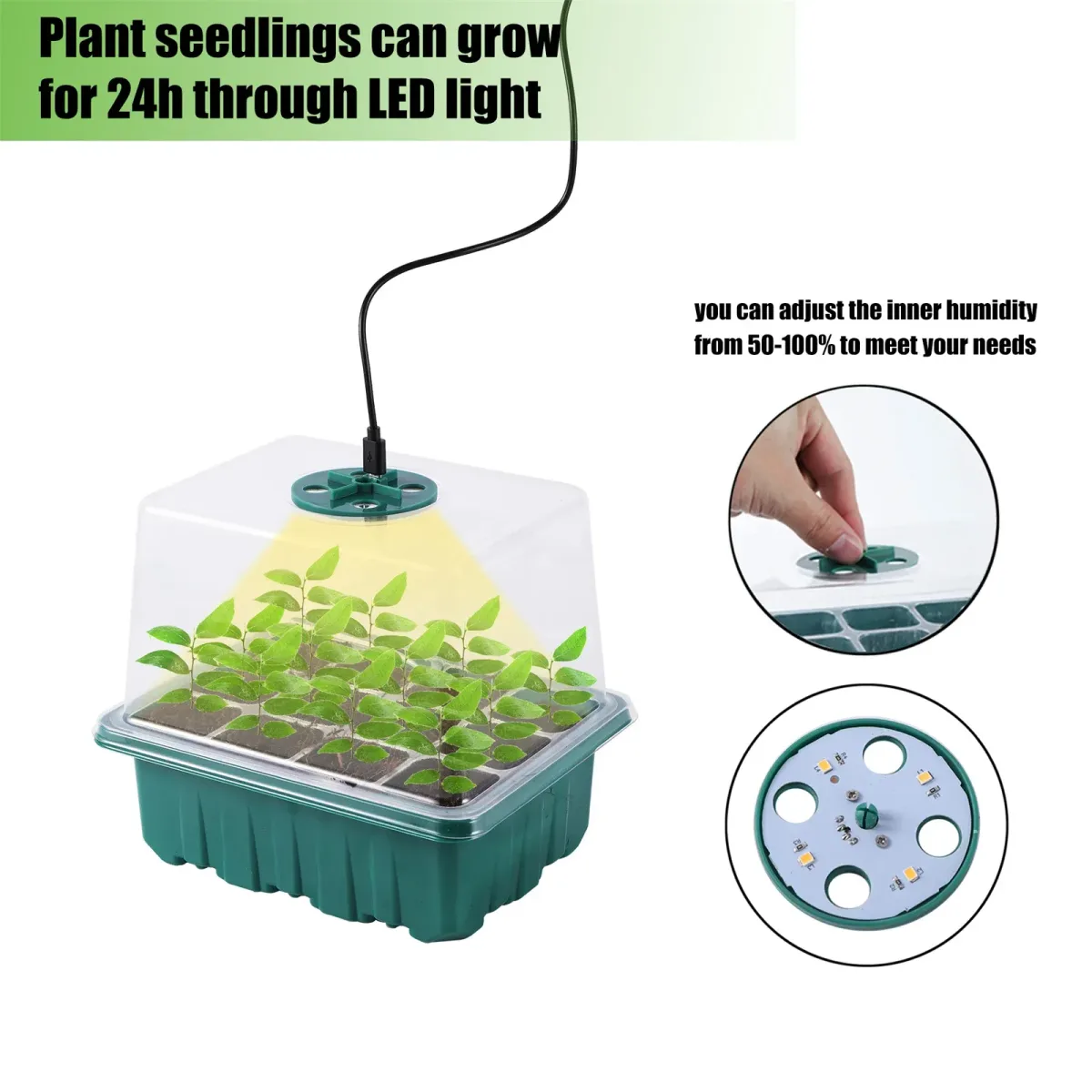 grow light distance from seedlings