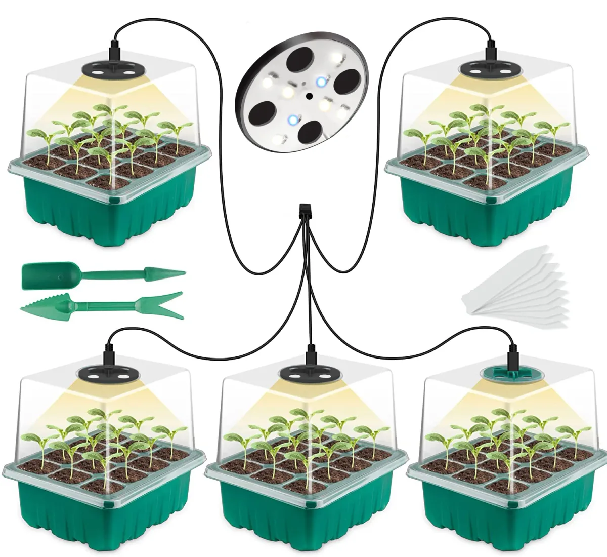 Grow lights and seed tray setup