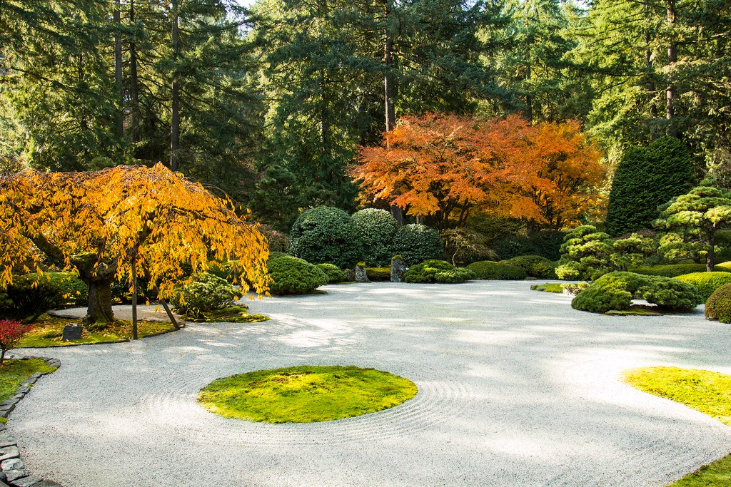 Koi pond