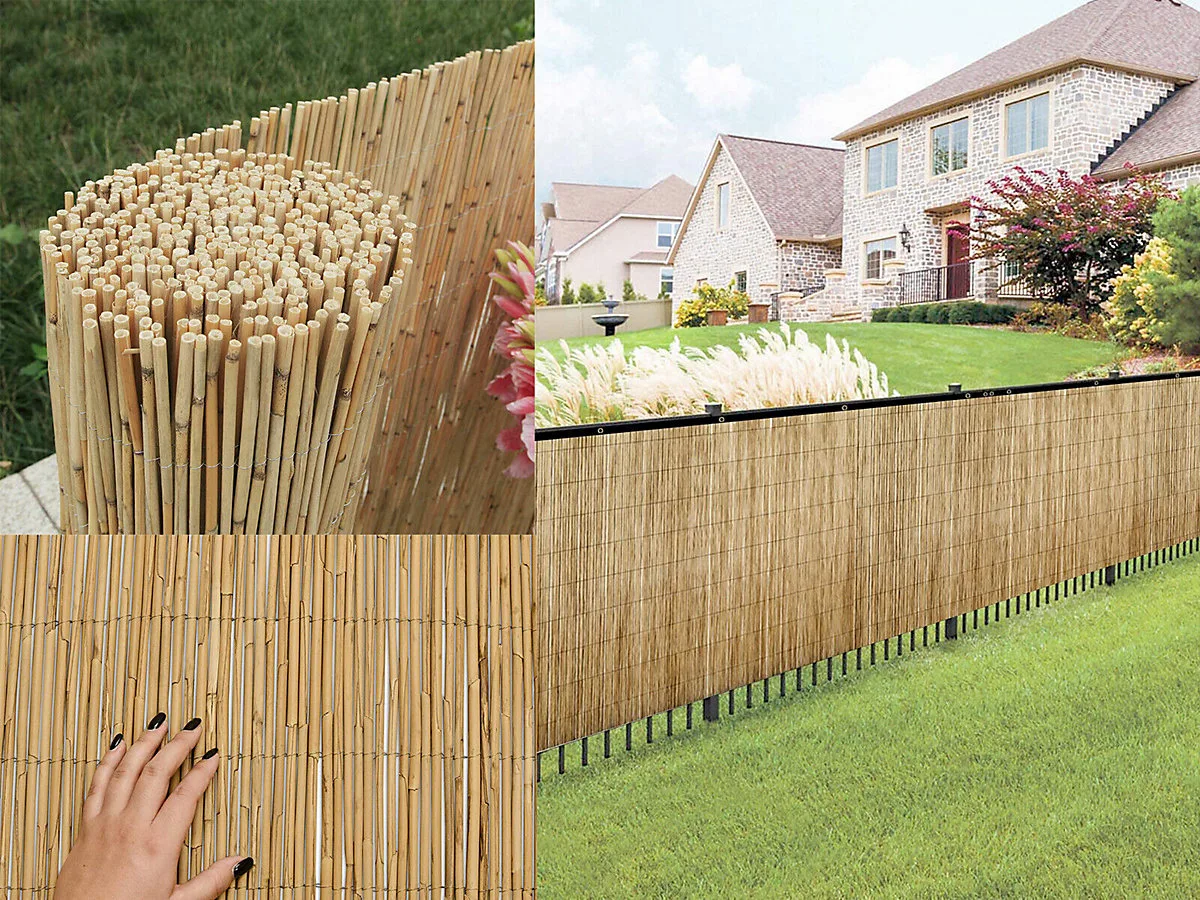 Reed fencing