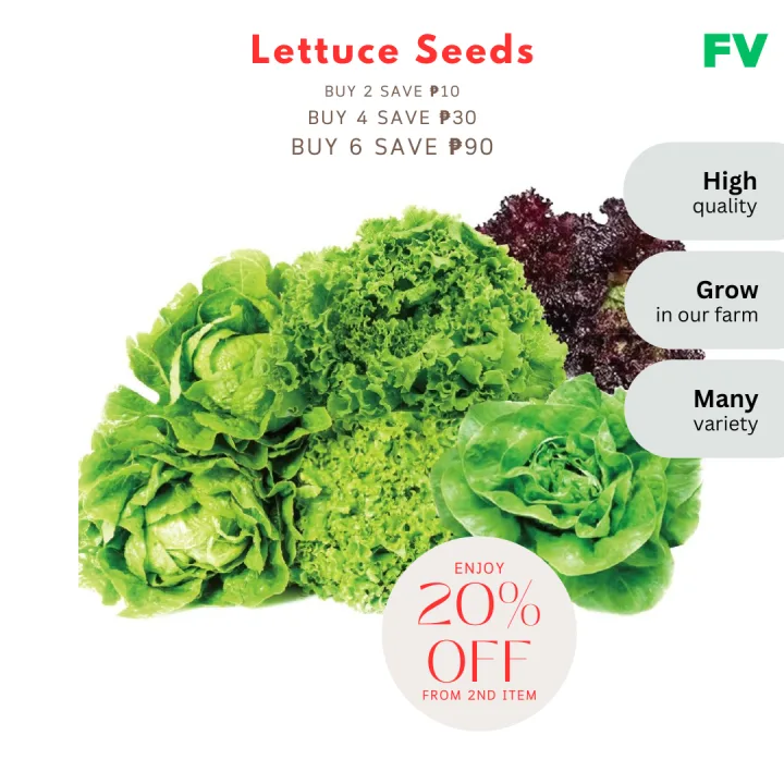 Romaine lettuce bolting