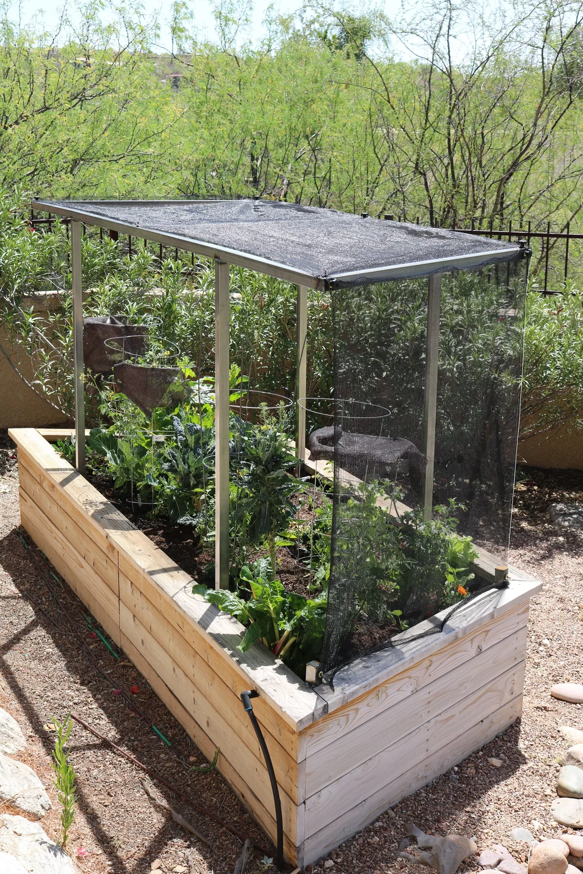 Shade cloth over cucumber plants