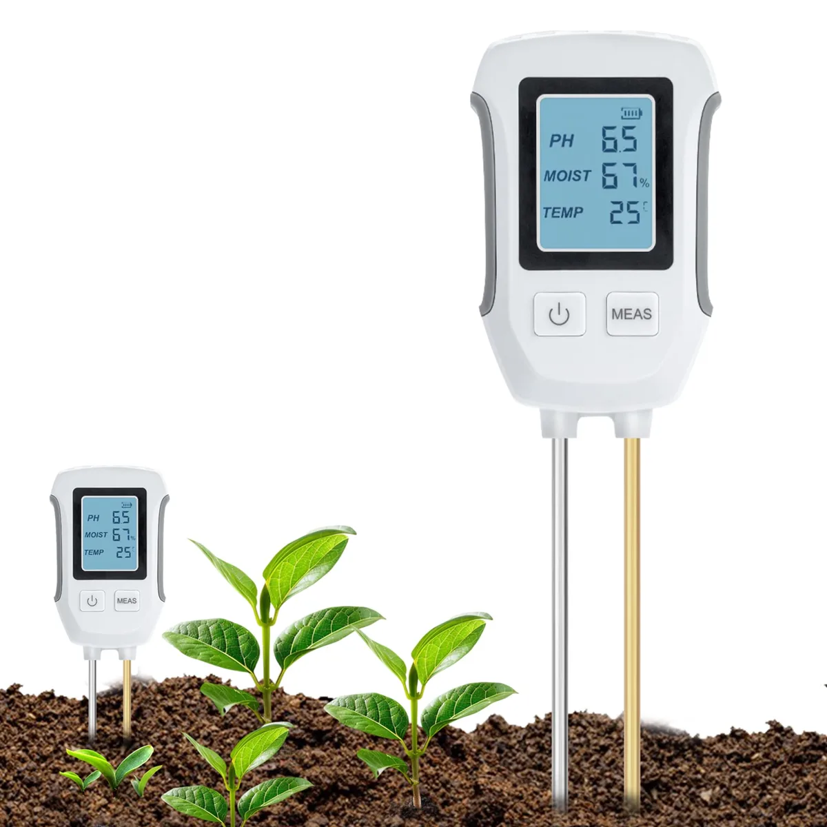 Soil pH test for iron availability